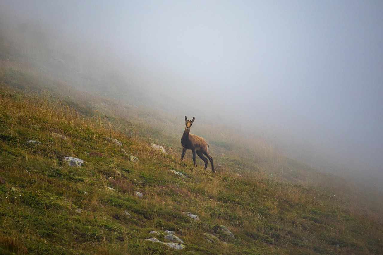 Bulgarien