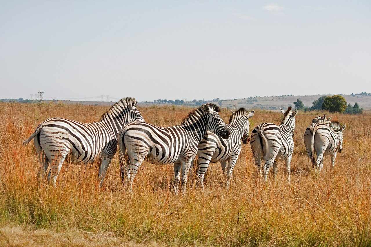 Südafrika